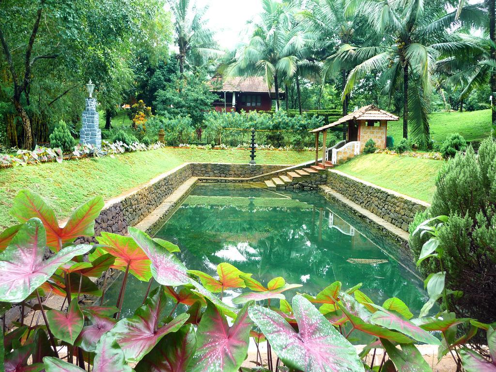 Hôtel Soma Birds Lagoon à Kotamangalam Extérieur photo