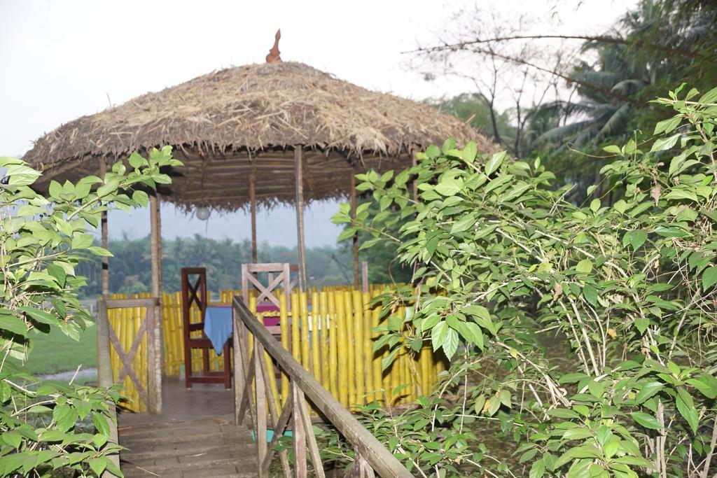 Hôtel Soma Birds Lagoon à Kotamangalam Extérieur photo